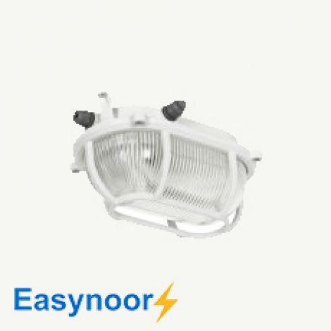 چراغ LED تونلی 20 وات راکی مازی نور (M212A2GLED3)