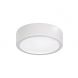 چراغ‌ دانلایت روکار 23 وات آریانا مازی نور (M486ED17H5LED4865-W)