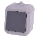 کلید تبدیل بارانی روکار IP44 دلند الکتریک