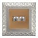قاب کلاسیک بژ سیر و پریز تلفن دو سوکت آذین 3896D-4027 پارت الکتریک